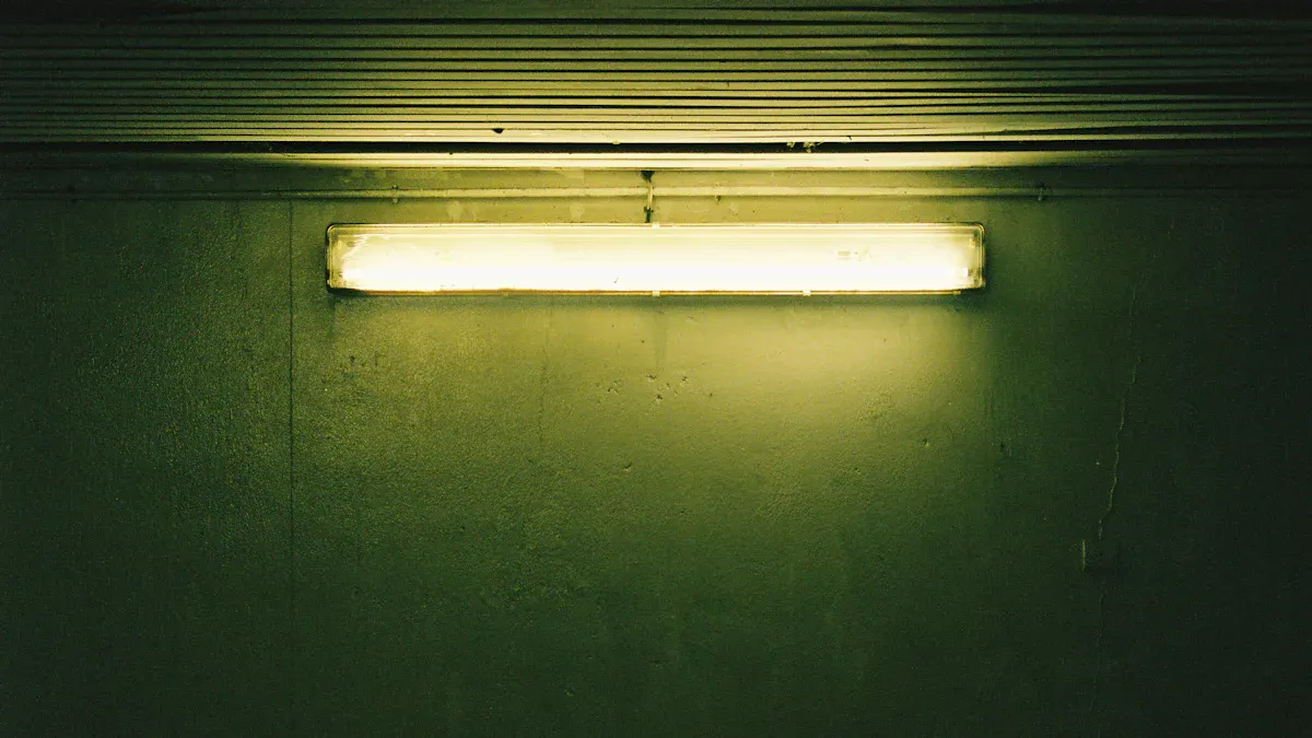 Clavis Differentiae Inter SPECULATOR B1 DUXERIT batten lux et tubulis fluorescentibus